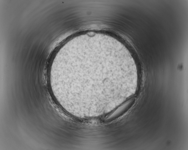 X0000114561018200911301243
