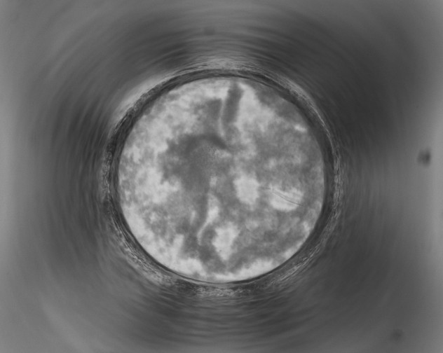 X0000114561019200911301243