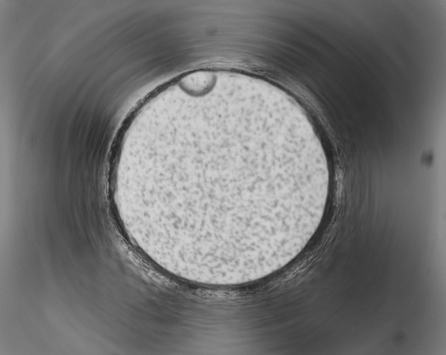 X0000114561020200911301243