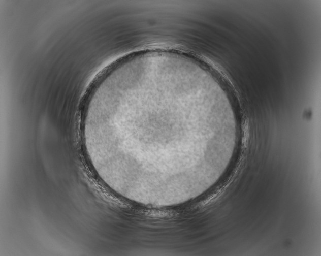 X0000114561021200911301243