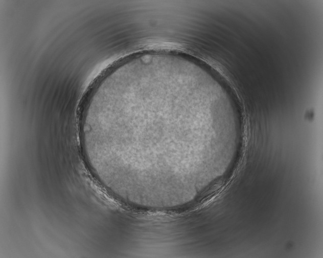 X0000114561022200911301243