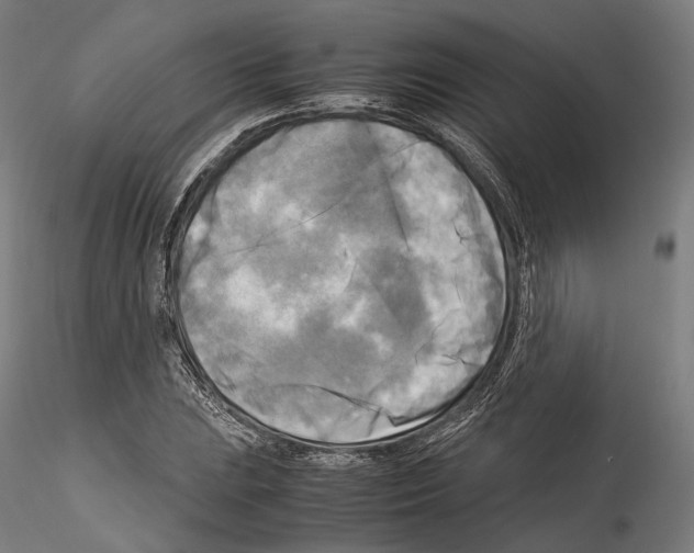 X0000114561023200911301243