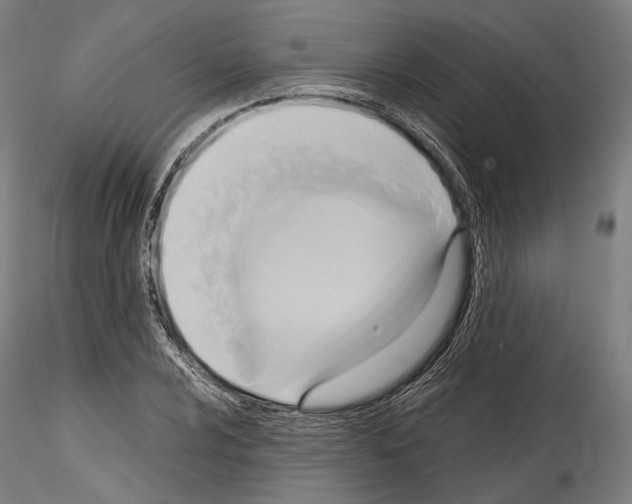 X0000114561024200911301243