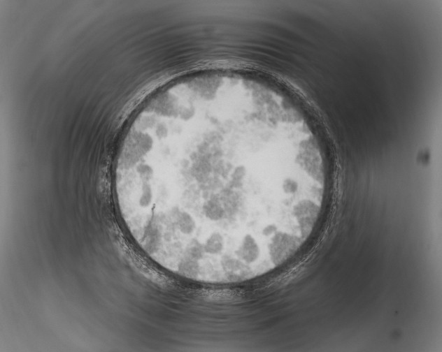 X0000114561025200911301243