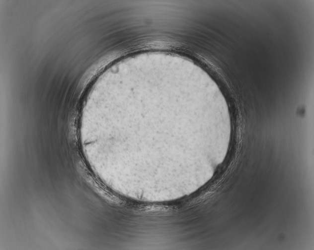 X0000114561026200911301243