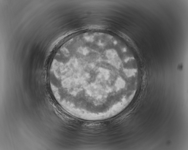 X0000114561027200911301243