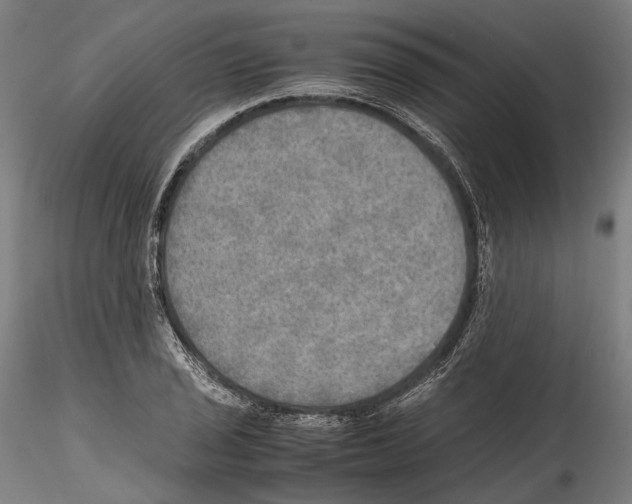 X0000114561029200911301243