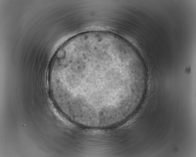 X0000114561030200911301243
