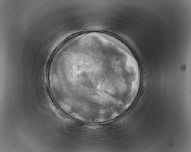 X0000114561031200911301243
