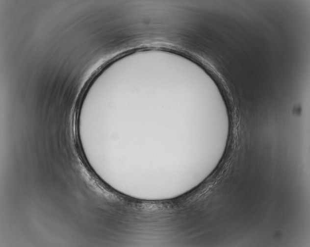 X0000114561032200911301243