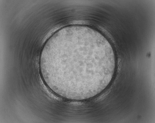X0000114561033200911301243