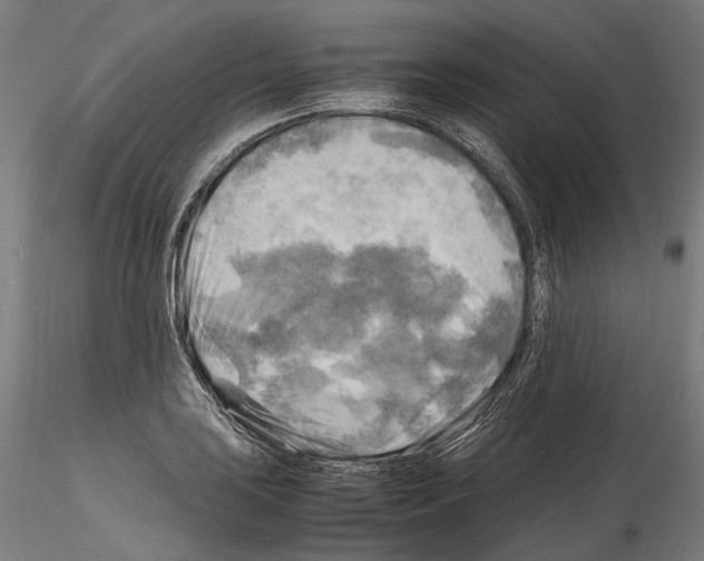 X0000114561035200911301244