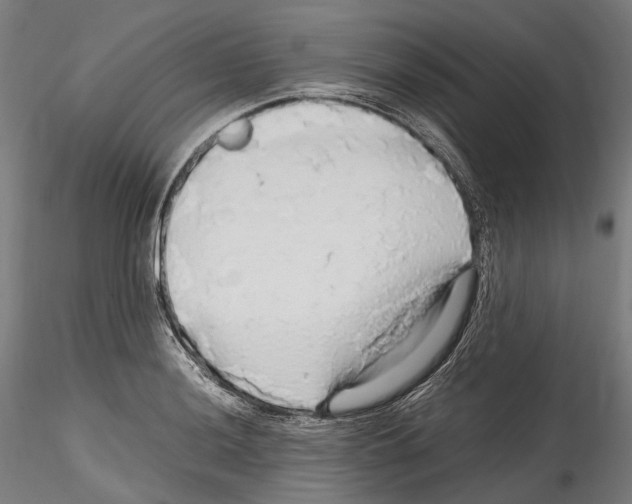 X0000114561036200911301244