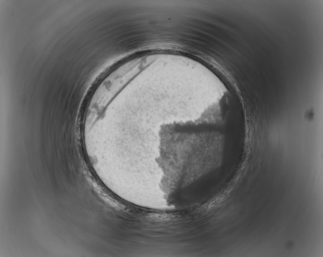 X0000114561037200911301244