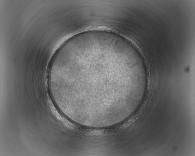 X0000114561038200911301244