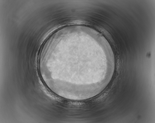 X0000114561039200911301244