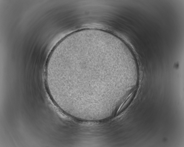 X0000114561040200911301244
