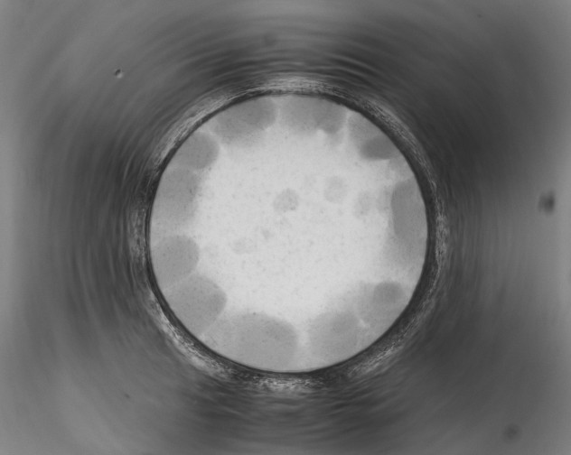 X0000114561041200911301244