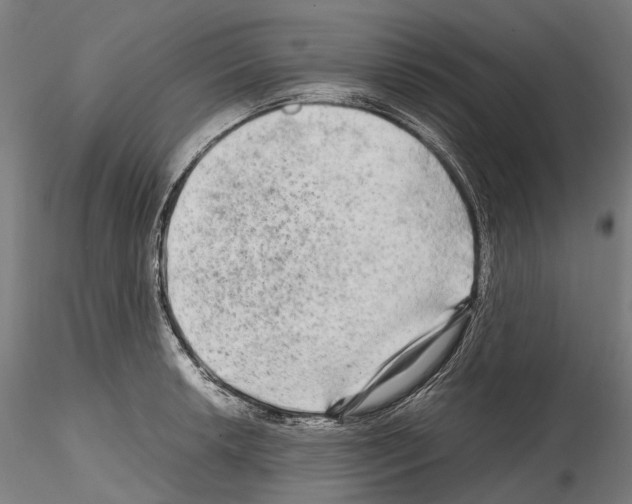 X0000114561042200911301244