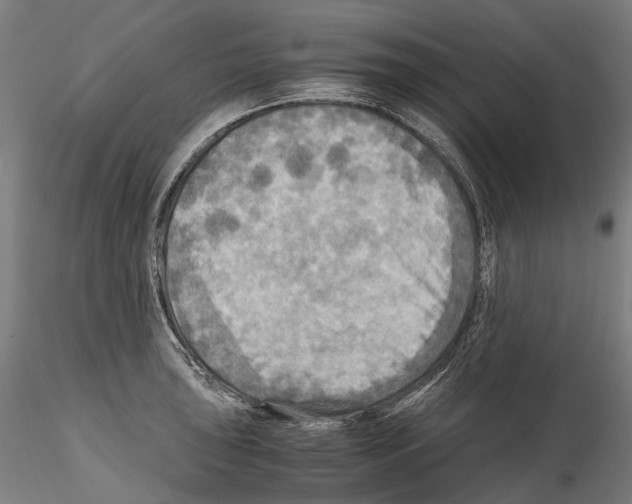 X0000114561043200911301244