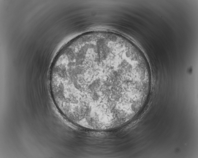 X0000114561045200911301244