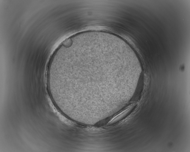 X0000114561046200911301244