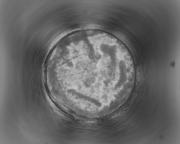 X0000114561047200911301244