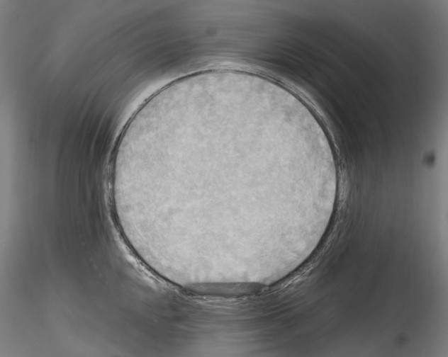 X0000114561048200911301244