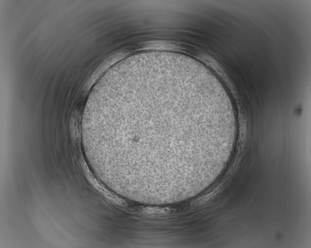 X0000114561049200911301244
