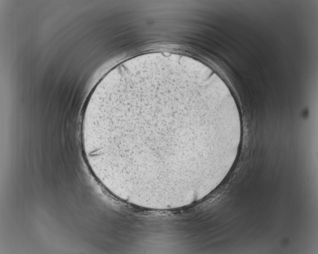 X0000114561050200911301244