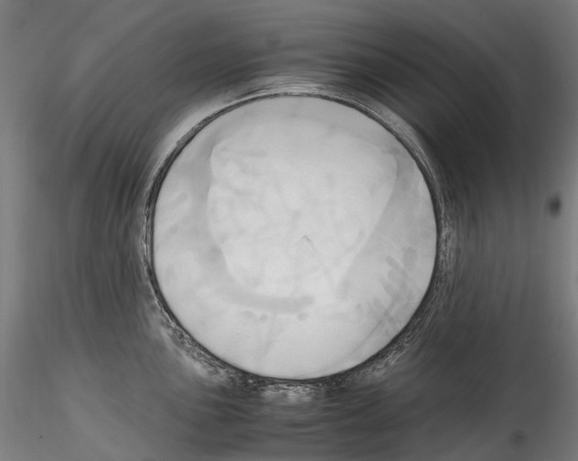 X0000114561051200911301244