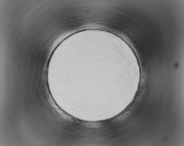 X0000114561053200911301244