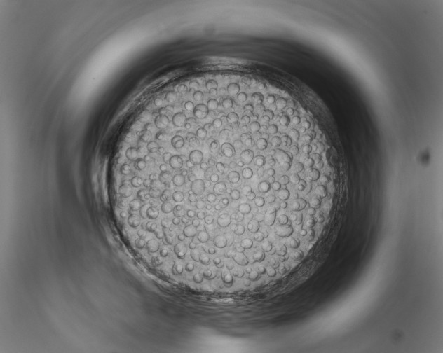 X0000114561054200911301244