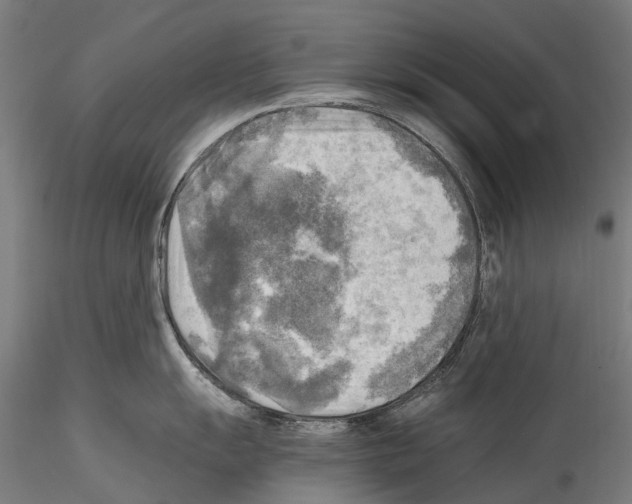 X0000114561055200911301244