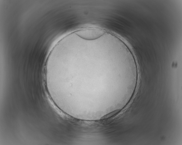 X0000114561056200911301244