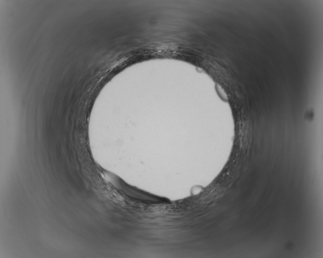 X0000114561057200911301243