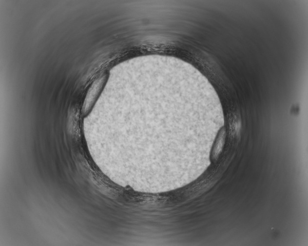 X0000114561060200911301243