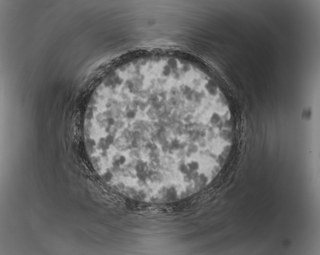 X0000114561063200911301243