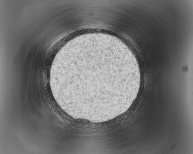 X0000114561064200911301243