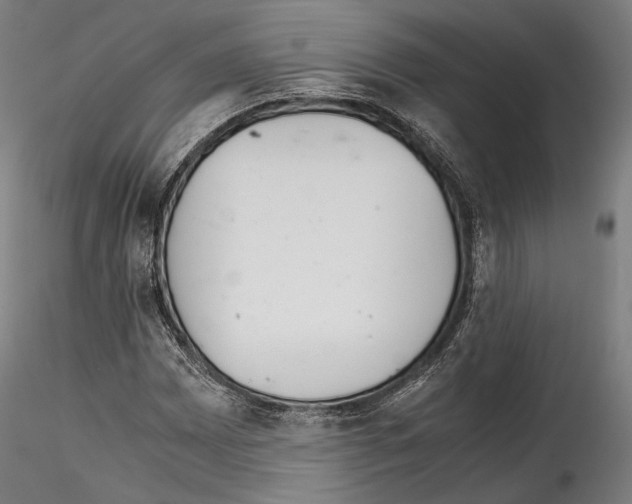 X0000114561065200911301243