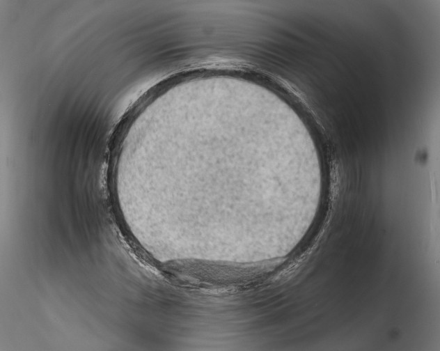 X0000114561066200911301243