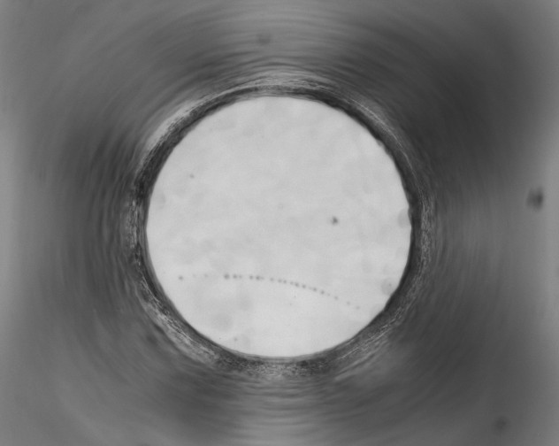 X0000114561067200911301243