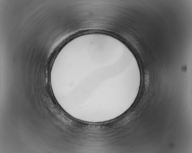 X0000114561069200911301243