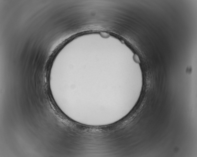 X0000114561070200911301243
