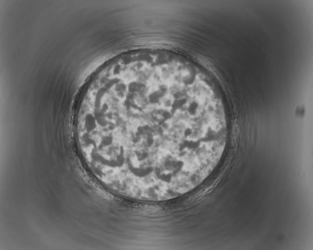 X0000114561071200911301243