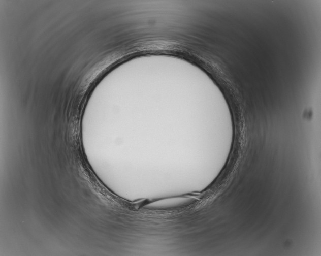 X0000114561073200911301243