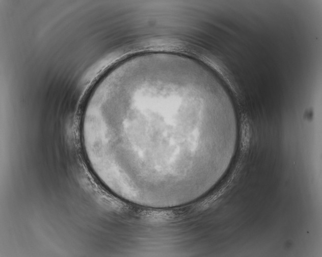 X0000114561074200911301243