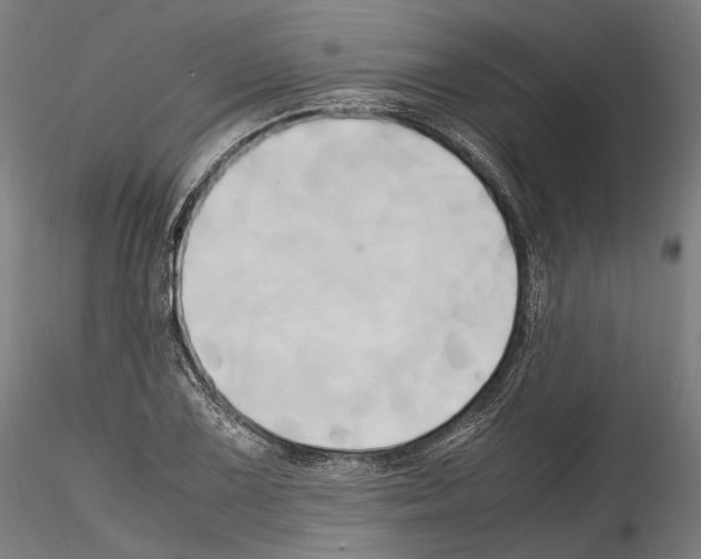 X0000114561075200911301243