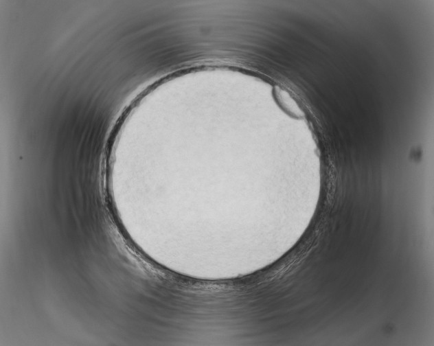 X0000114561076200911301243