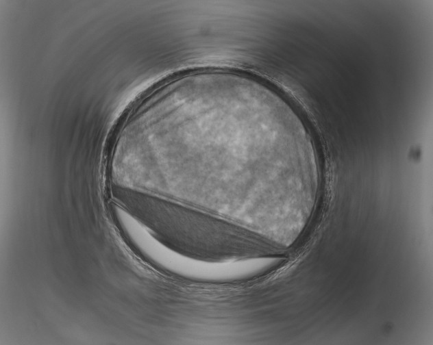 X0000114561077200911301243